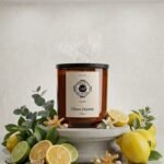 IAP Pharma Home Vela Aromática Citrus Heaven 200g