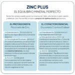 IVB Zinc Plus 60 Cápsulas - Imagen 2