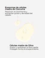 Segle Sérum Capilar Revival & Density - Imagen 3